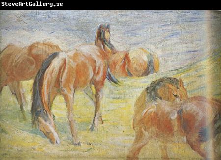 Franz Marc Graing Horses i (mk34)